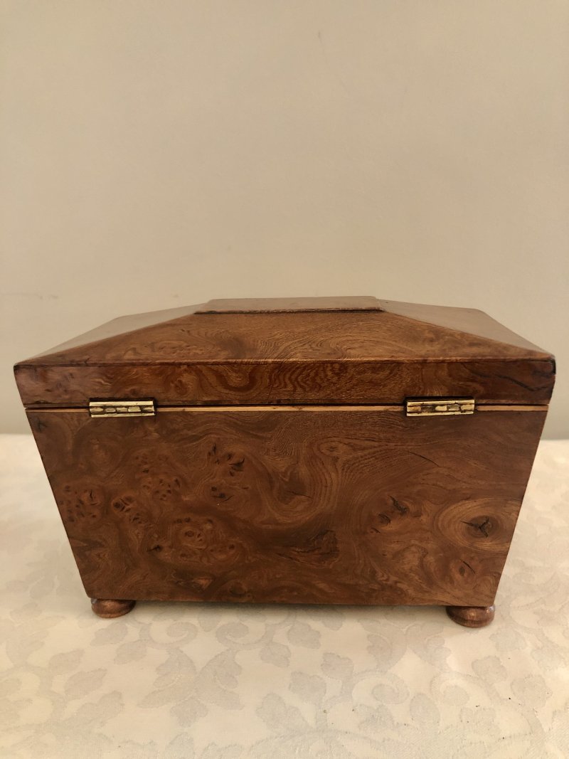 Antique Regency Sarcophagus Shaped  Burr Elm Tea Caddy - Image 6